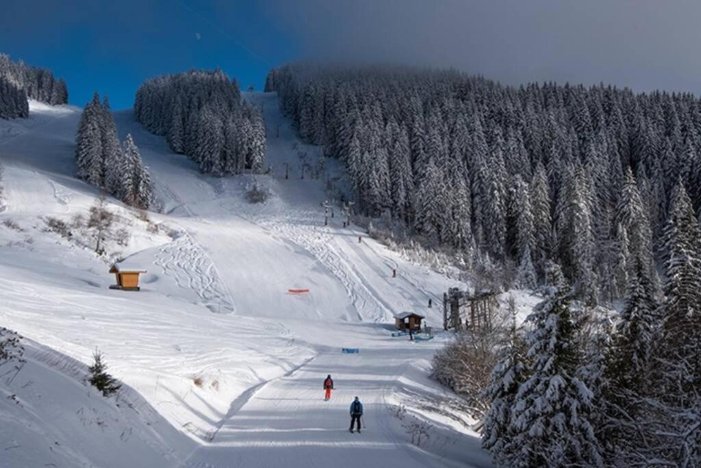 Le Relai S34 - Grand Et Lumineux Studio Avec Coin Montagne 4-6 Pers Avec Wifi, 50M Des Pistes, Grand Balcon Expose Sud, Draps Non Compris Saint-Jean-d'Aulps Ngoại thất bức ảnh